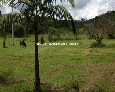 Depósito-Galpão - Foto 2