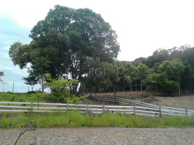 Casa, 2 quartos, 2337 m² - Foto 2