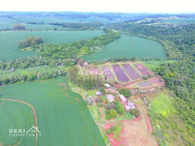 Fazenda, 77 hectares - Foto 2