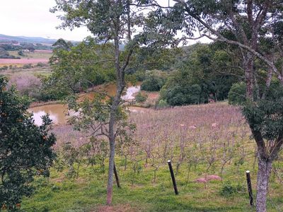 Fazenda, 23 hectares - Foto 3