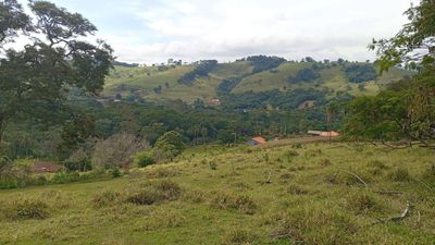 Terreno, 4750 m² - Foto 4