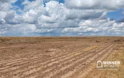 Fazenda, 128660769 hectares - Foto 1