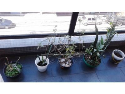 Apartamento, 3 quartos, 150 m² - Foto 5