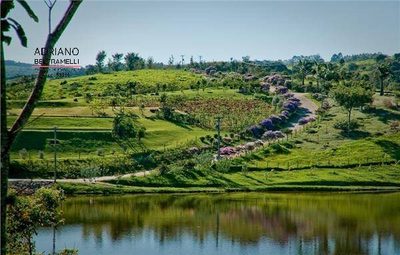 Terreno, 2 hectares - Foto 1