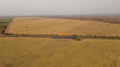 Fazenda, 581 hectares - Foto 5