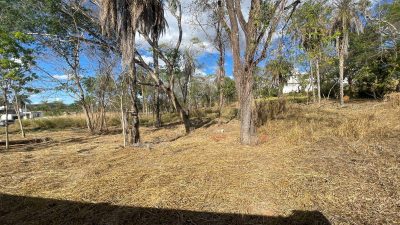 Terreno, 1000 m² - Foto 4