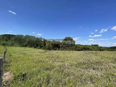 Terreno, 5000 m² - Foto 5