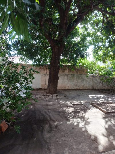 Casa, 3 quartos, 183 m² - Foto 5
