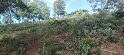 Terreno, 5300 m² - Foto 3