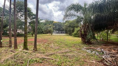 Terreno, 3700 m² - Foto 5
