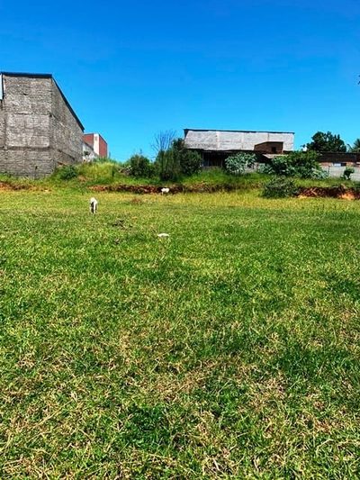 Terreno, 1146 m² - Foto 3