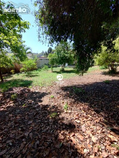 Casa, 2 quartos, 1000 m² - Foto 5