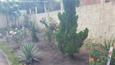 Fazenda, 9075 m² - Foto 2