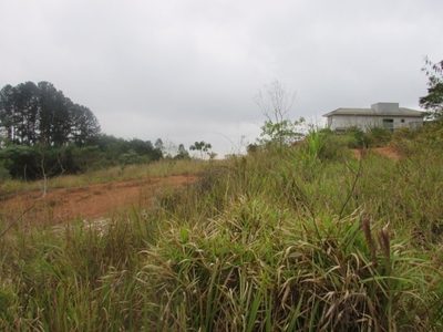 Terreno, 5000 m² - Foto 3