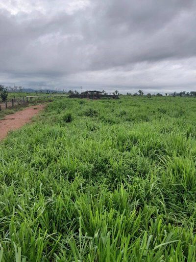Fazenda, 260 m² - Foto 2