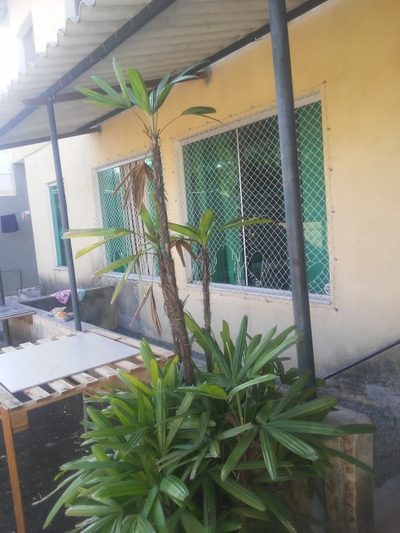 Casa, 3 quartos, 354 m² - Foto 3