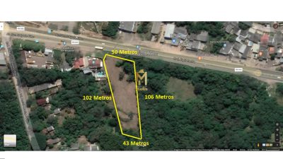 Terreno, 4836 m² - Foto 3