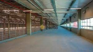 Depósito-Galpão, 2962 m² - Foto 4