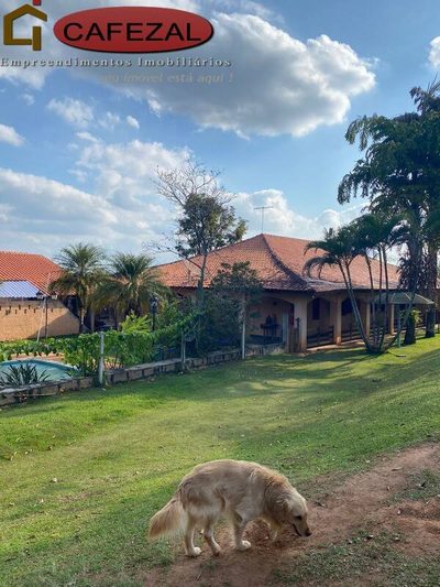 Casa, 3 quartos, 780 m² - Foto 4