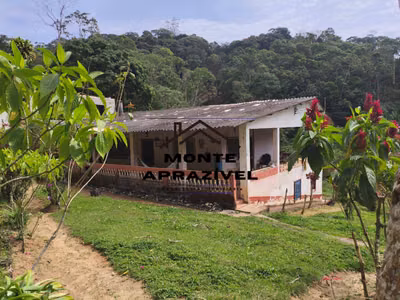 Sítio, 2 quartos, 4822 m² - Foto 1