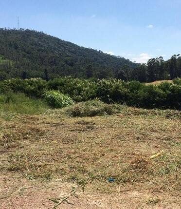 Terreno, 313 m² - Foto 1