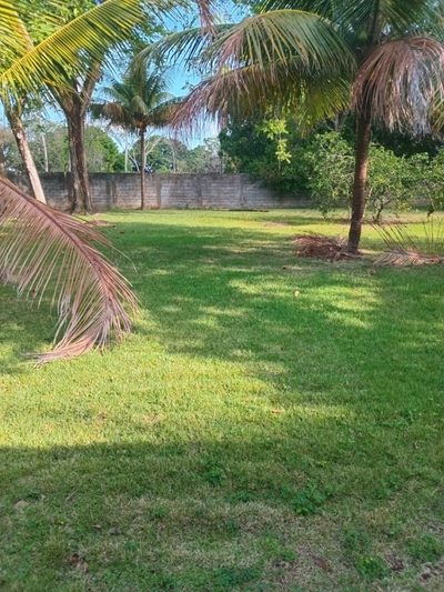 Terreno, 5 hectares - Foto 3