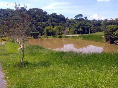 Terreno, 1001 m² - Foto 3