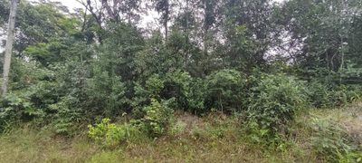 Terreno, 280 m² - Foto 1