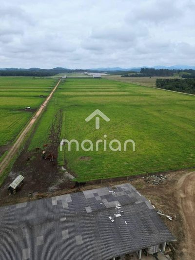 Fazenda - Foto 3