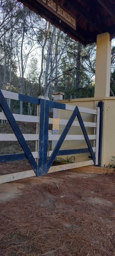 Sítio, 3 quartos, 10 m² - Foto 3