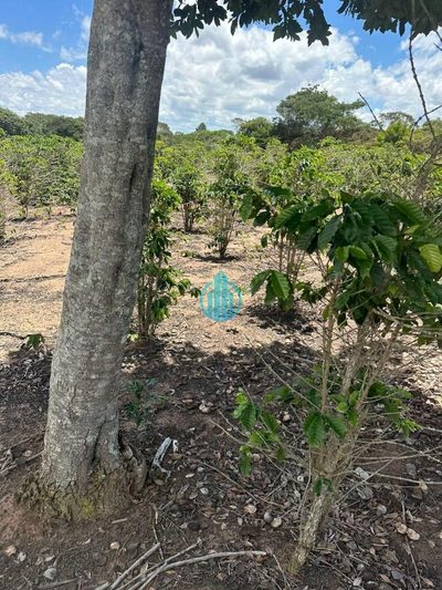 Terreno, 1 hectares - Foto 3