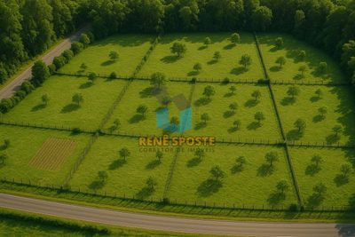Terreno, 4 hectares - Foto 1