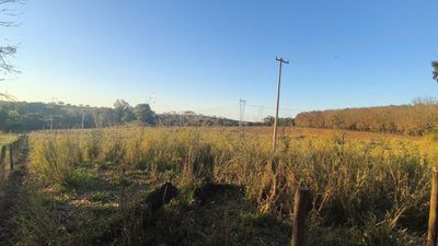 Sítio, 2 hectares - Foto 4