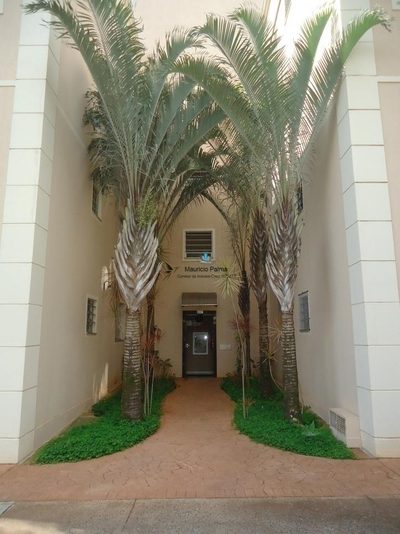 Apartamento, 3 quartos, 59 m² - Foto 2