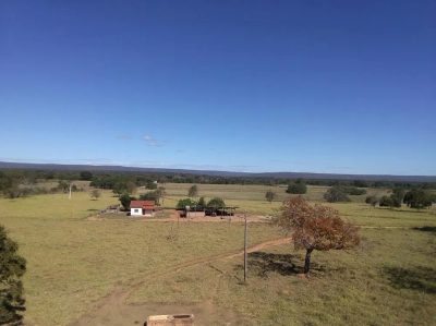 Fazenda - Foto 4