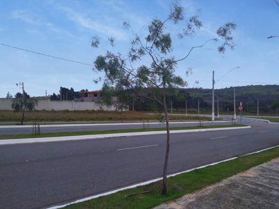 Terreno, 250 m² - Foto 3