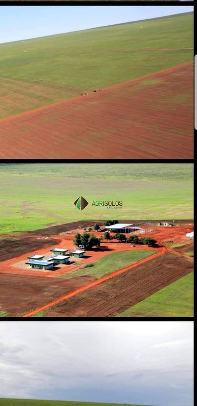 Terreno, 2 hectares - Foto 4