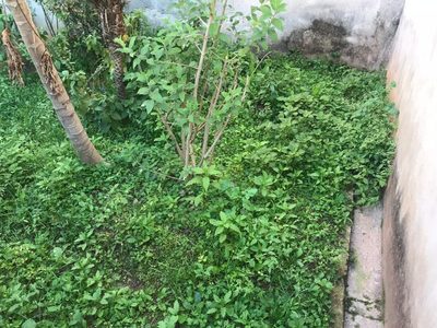 Terreno, 125 m² - Foto 5