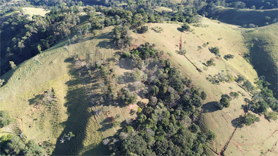 Terreno, 12 hectares - Foto 4