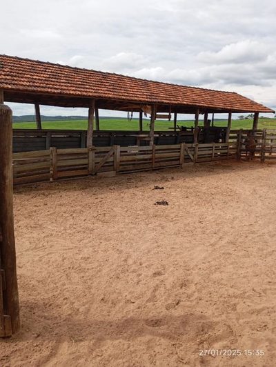 Fazenda, 300 m² - Foto 3