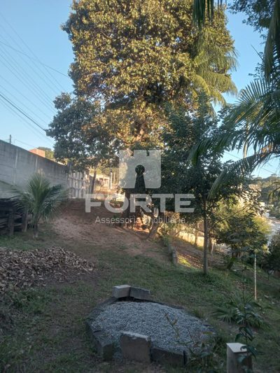 Chácara, 3 quartos - Foto 3