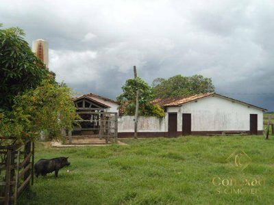 Fazenda, 879450785 hectares - Foto 3