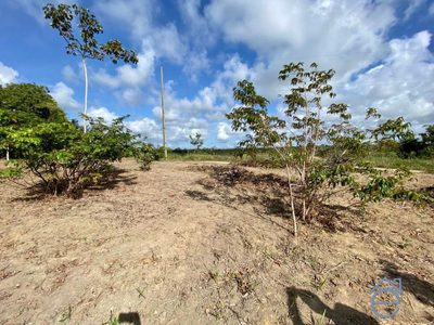 Terreno, 540 m² - Foto 5