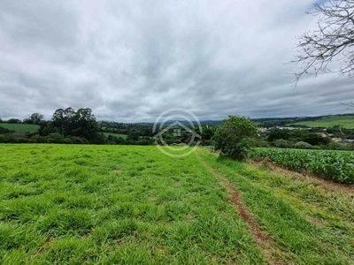 Terreno, 2 hectares - Foto 1