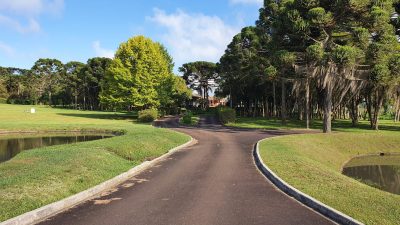 Terreno, 12 hectares - Foto 2