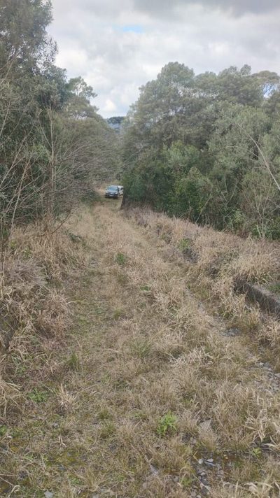 Fazenda, 242 hectares - Foto 3