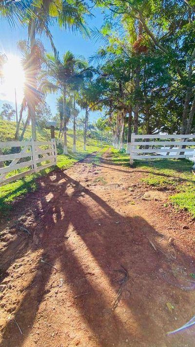 Fazenda, 286 hectares - Foto 4