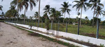 Terreno, 1000 m² - Foto 3