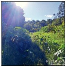 Terreno, 50 m² - Foto 1