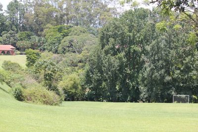 Fazenda, 44 hectares - Foto 3